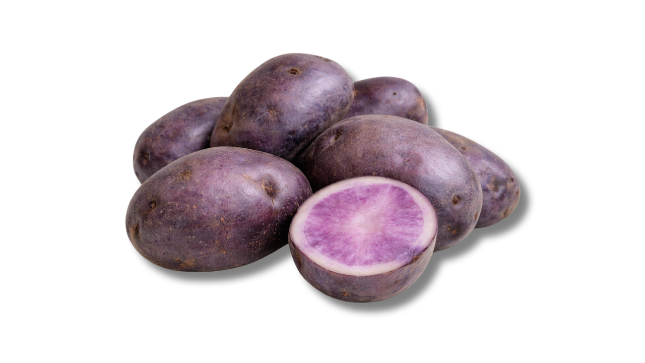 Pile of All Blue potatoes