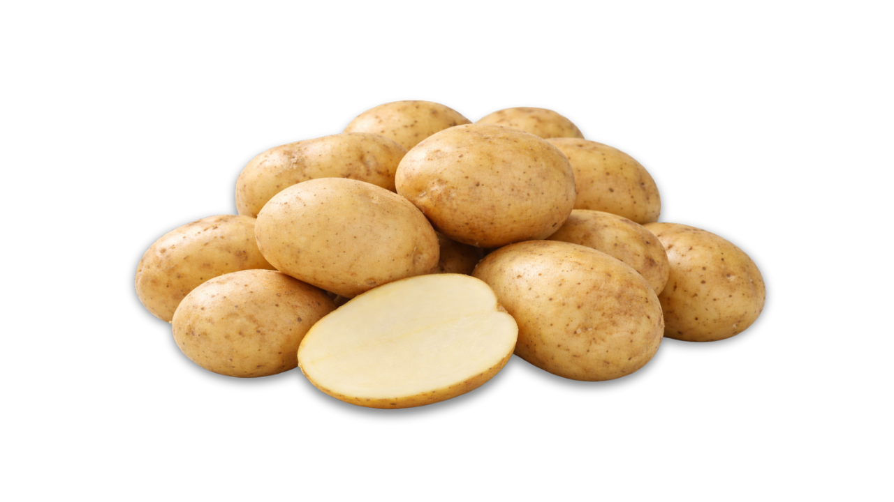 Pile of kennebec potatoes